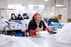 全县60家就业帮扶车间累计吸纳3761人就业